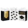 Hallmark 13" Assorted Grad Designs 3-Pack Large Gift Bags With Tissue Paper