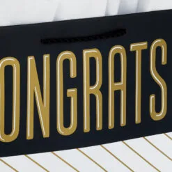 Hallmark 13" Assorted Grad Designs 3-Pack Large Gift Bags With Tissue Paper -Hallmark shop Assorted Grad Designs 3Pack Large Gift Bags With Tissue Paper 5GBC1015 05