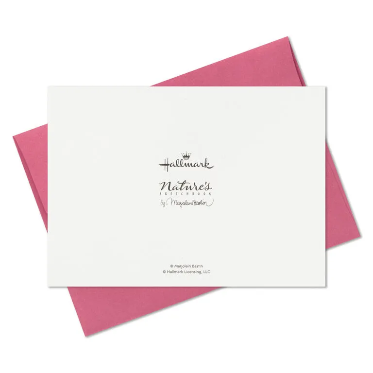Hallmark Marjolein Bastin Assorted Blank Nature Note Cards In Caddy, Pack Of 24 11 Hallmark Marjolein Bastin Assorted Blank Nature Note Cards In Caddy, Pack Of 24 - Image 9