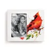 Demdaco Spring Cardinal Ceramic Picture Frame, 4x6 -Hallmark shop Cardinal Illustration on White Ceramic Picture Frame 1004610085 01