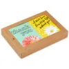 Hallmark Colorful Daisies Boxed Thank-You Notes, Pack Of 50 -Hallmark shop Colorful Daisies Boxed ThankYou Notes 3THK2543 01