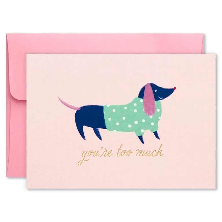 Hallmark Colorful And Fun Assorted Blank Note Cards, Box Of 24 - Image 8