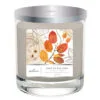 Hallmark Cozy By The Fire 3-Wick Jar Candle, 16 Oz.