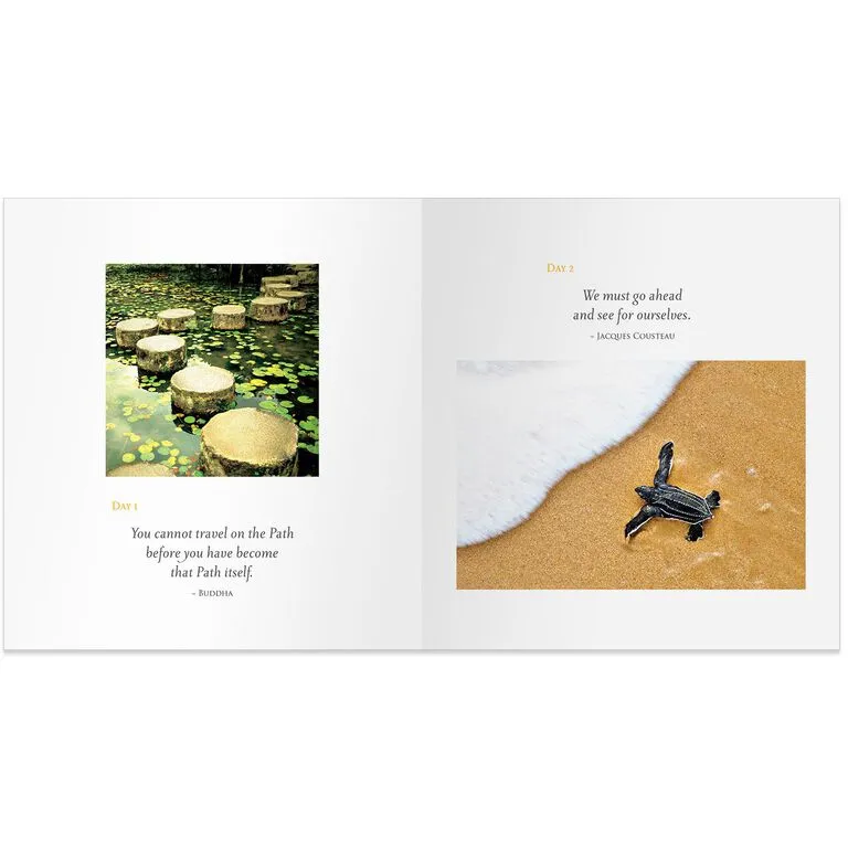 Hallmark Daily Calm Gift Book 4 Hallmark Daily Calm Gift Book - Image 2