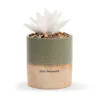 Demdaco Just Because Succulent Oil Diffuser -Hallmark shop Demdaco Just Because Flower Succulent Oil Diffuser 1004540041 01