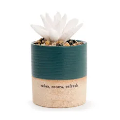 Demdaco Relax Succulent Oil Diffuser