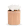 Demdaco Smile Succulent Oil Diffuser -Hallmark shop Demdaco Smile White Flower Succulent Oil Diffuser 1004540040 01
