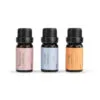 Demdaco Well-Being Essential Oil Trio -Hallmark shop Demdaco WellBeing Essential Oil Trio 1004540045 01