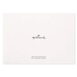 Hallmark Flowers And Dots Assorted Blank Note Cards, Box Of 50 -Hallmark shop Flowers and Dots Assorted Blank Note Cards 5WDN2069 06