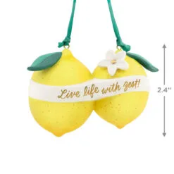 Hallmark Live Life With Zest! Porcelain Ornament -Hallmark shop Live Life With Zest Lemons Keepsake Ornament 1799QHX3057 03