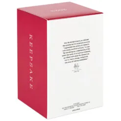 Hallmark Disney Peter Pan's Flight Off To Never Land! Ornament 12 Hallmark Disney Peter Pan's Flight Off To Never Land! Ornament -Hallmark shop Mickey Peter Pan Pirate Ship Keepsake Ornament 2199QXD6569 05