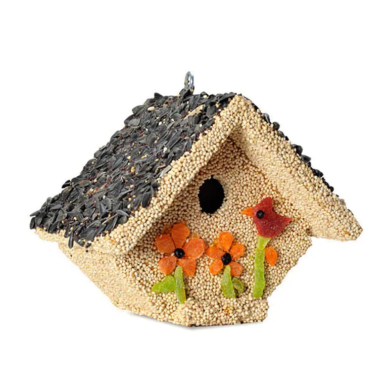Mr. Bird Spring Fruit Casita Birdhouse 3 Mr. Bird Spring Fruit Casita Birdhouse
