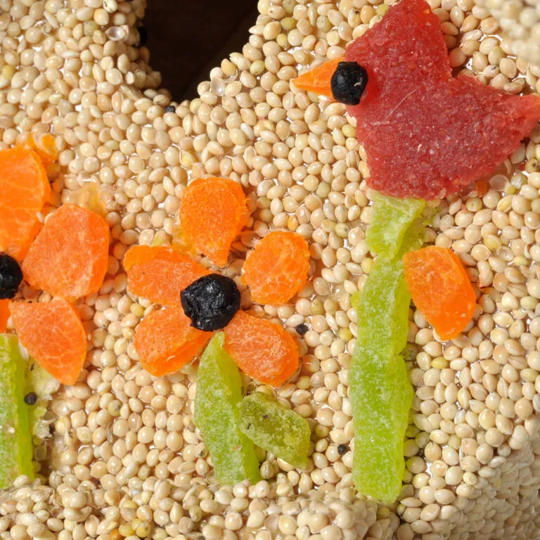 Mr. Bird Spring Fruit Casita Birdhouse 4 Mr. Bird Spring Fruit Casita Birdhouse - Image 2