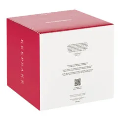 Hallmark Snowtop Lodge Christmas Concert Tabletop Decoration With Light And Sound -Hallmark shop Musical Snowmen Ornaments Keepsake Decoration 1QFM3929 05