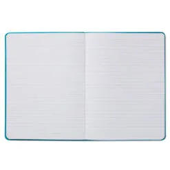 Hallmark Peanuts® Snoopy And Woodstock Faux Leather Notebook -Hallmark shop Peanuts Snoopy and Woodstock Etched Blue Notebook 1HWJ7053 04