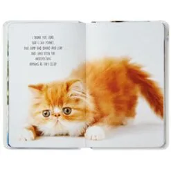 Hallmark Pet Prayers: Funny Pleas And Praise From Our Animal Friends Book 8 Hallmark Pet Prayers: Funny Pleas And Praise From Our Animal Friends Book -Hallmark shop Pet Prayers Funny Pleas and Praise From Our Animal Friends Book root 1BOK1418 BOK1418 1470 3.jpg Source Image