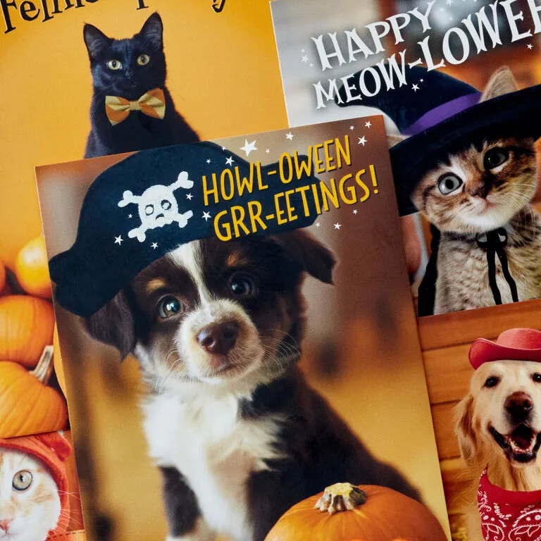 Hallmark Pet Puns Boxed Halloween Cards Assortment, Pack Of 48 5 Hallmark Pet Puns Boxed Halloween Cards Assortment, Pack Of 48 - Image 3
