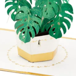 Hallmark Plant In Pot 3D Pop-Up Thinking Of You Card 13 Hallmark Plant In Pot 3D Pop-Up Thinking Of You Card -Hallmark shop Plant in Pot 3D PopUp Thinking of You Card 1299LAD2900 03