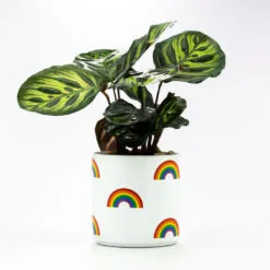 Rainbow Icons On White Ceramic Planter, 4.5" -Hallmark shop Rainbow Icons on White Planter 115440 02