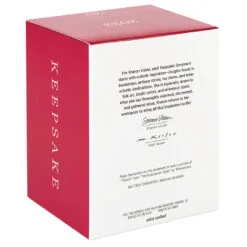 Hallmark Festive Fiddler Musical Ornament -Hallmark shop Reindeer Playing Violin Musical Keepsake Ornament 2199QGO2937 05