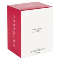 Hallmark Star Wars: Return Of The Jedi™ A Curious Encounter On Endor™ Ornament -Hallmark shop Return of the Jedi Wicket Ewok Keepsake Ornament 2699QXI7097 05