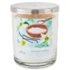 Hallmark Sea Salt Vanilla 3-Wick Jar Candle, 16 Oz. -Hallmark shop Sea Salt Vanilla 3Wick Jar Candle 1BGC1064 01