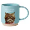 Hallmark Judgmental Cat Funny Mug, 16 Oz. -Hallmark shop Shoebox Judgmental Cat Funny Coffee Mug 1MUG3533 01