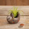 Natural Life Faux Succulent In Sloth Planter, 2" -Hallmark shop Tiny Sloth Ceramic Planter With Faux Succulent PLNT065 01