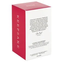 Hallmark Season's Gardenings Ornament -Hallmark shop TreeShaped Gardening Planter Keepsake Ornament 1899QGO2947 05